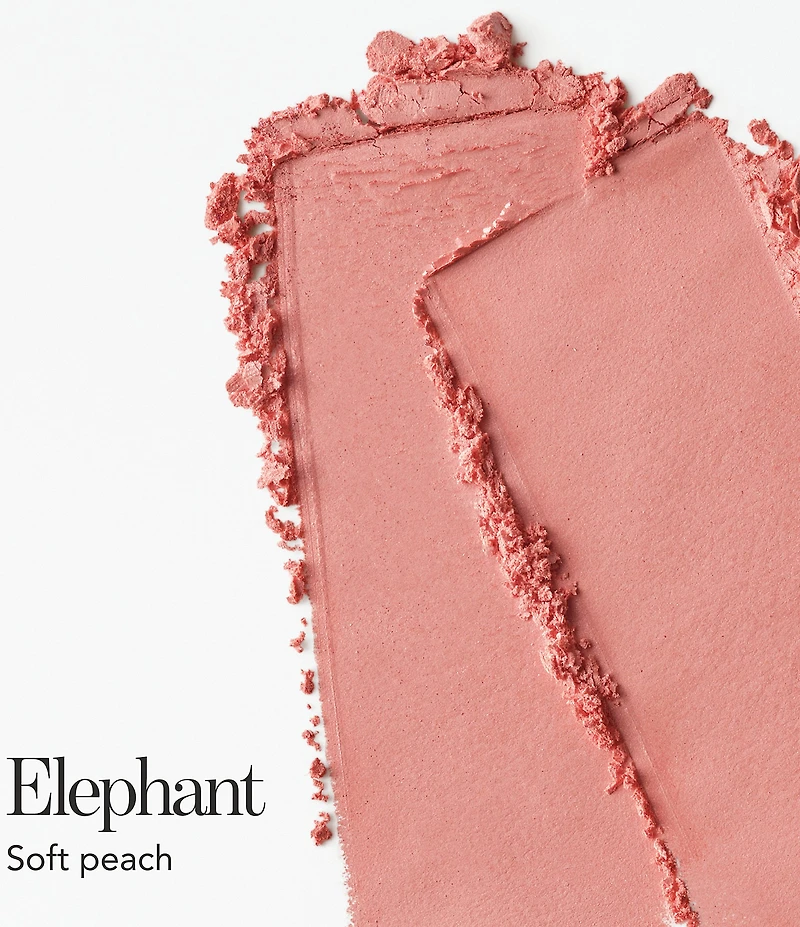 Chantecaille Philanthropy Cheek Shade Blush