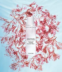 Chantecaille Purifying and Exfoliating Phytoactive Solution Toner