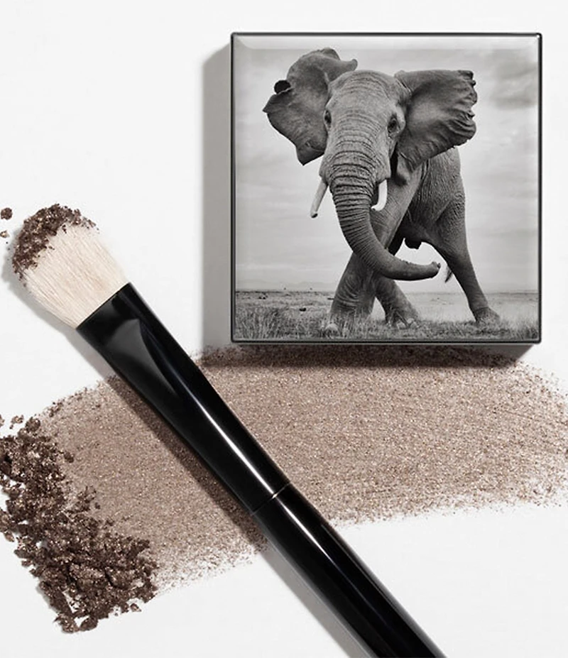 Chantecaille Shade and Sweep Eye Brush