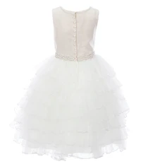 Chantilly Place Big Girls Satin/Tiered Mesh Fit-And-Flare Dress