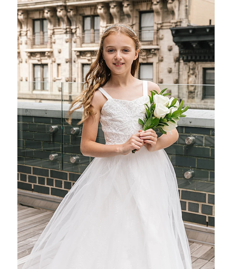 Chantilly Place Big Girls Embroidered Bodice Mesh Glitter Dress