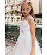 Chantilly Place Big Girls Embroidered Bodice Mesh Glitter Dress