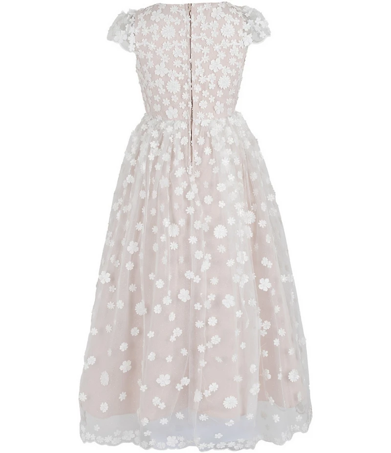 Chantilly Place Big Girls Cap Sleeve Floral 3D Beaded Mesh Shirred Skirt Dress
