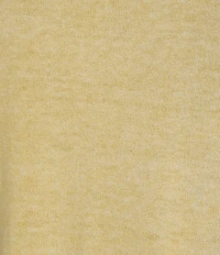 Charlie B. Knit Crew Neck Short Sleeve Top