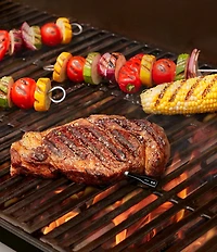 CHEF iQ Smart Wireless Meat Thermometer