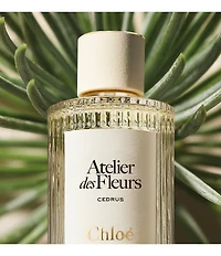 Chloe Atelier des Fleurs Cedrus Eau de Parfum