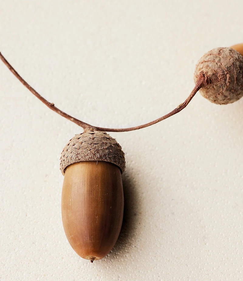 Chloe Atelier des Fleurs Chene Eau de Parfum