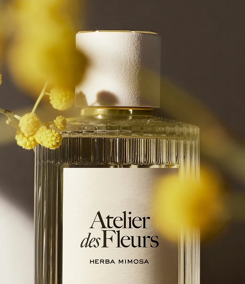 Chloe Atelier des Fleurs Herba Mimosa Eau de Parfum