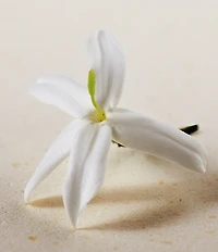 Chloe Atelier des Fleurs Jasminum Sambac Eau de Parfum