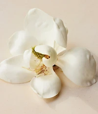 Chloe Atelier des Fleurs Magnolia Alba Eau de Parfum