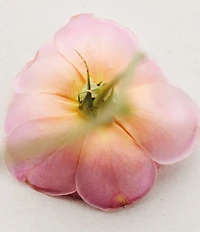 Chloe Atelier des Fleurs Rosa Damascena Eau de Parfum