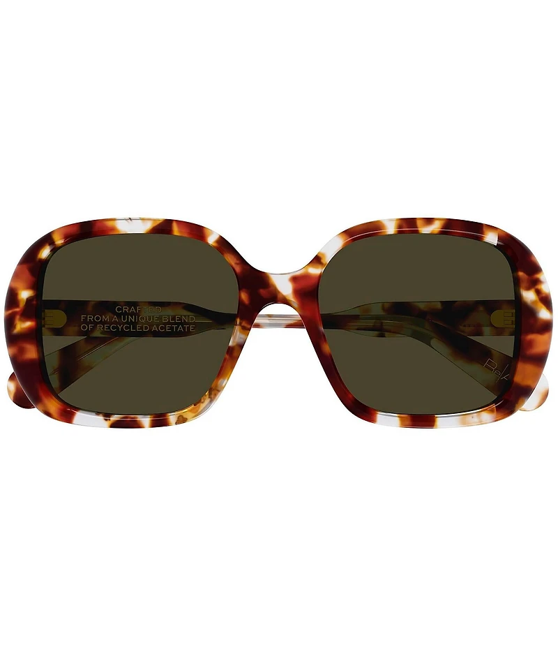 Chloe Women's Gayia 55mm Havana Square Sunglasses