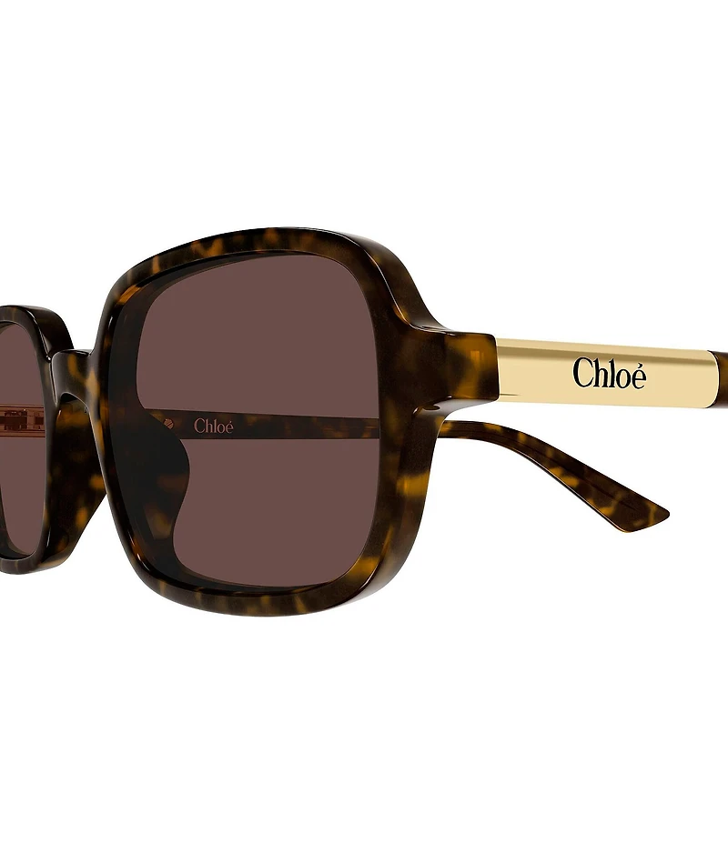 Chloe Women's Judy 53mm Rectangle Sunglasses