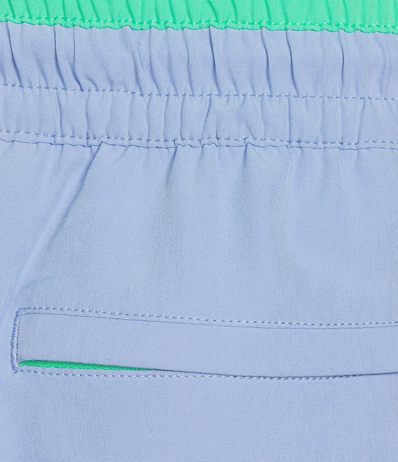 Chubbies Alpine Skies 5.5#double; Inseam Swim Trunks