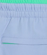 Chubbies Alpine Skies 5.5#double; Inseam Swim Trunks