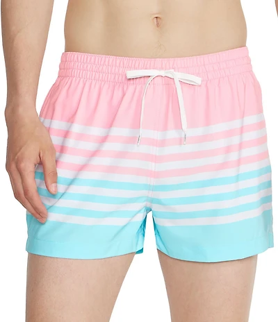 Chubbies The On the Horizons 4#double; Lined Classic Stretch Trunks