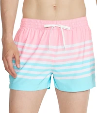 Chubbies The On the Horizons 4#double; Lined Classic Stretch Trunks