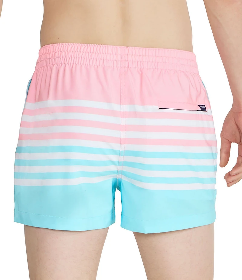 Chubbies The On the Horizons 4#double; Lined Classic Stretch Trunks