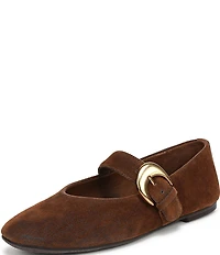 Circus NY by Sam Edelman Bella Velvet Mary Jane Ballet Flats