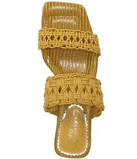 Circus NY by Sam Edelman Clover Woven Leather Sculpted Heel Slip On Dress Sandals