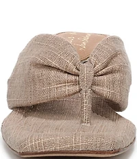 Circus NY by Sam Edelman Colette Plaid Fabric Block Heel Thong Slide Sandals