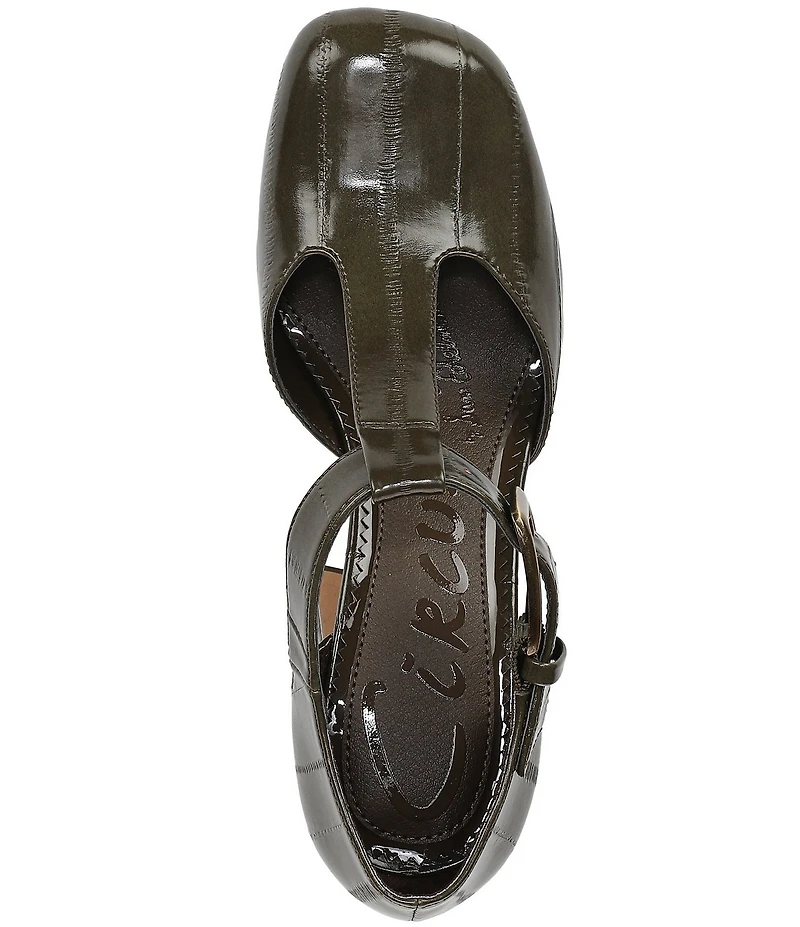 Circus NY by Sam Edelman Idalia Platform Mary Jane Dress Pumps