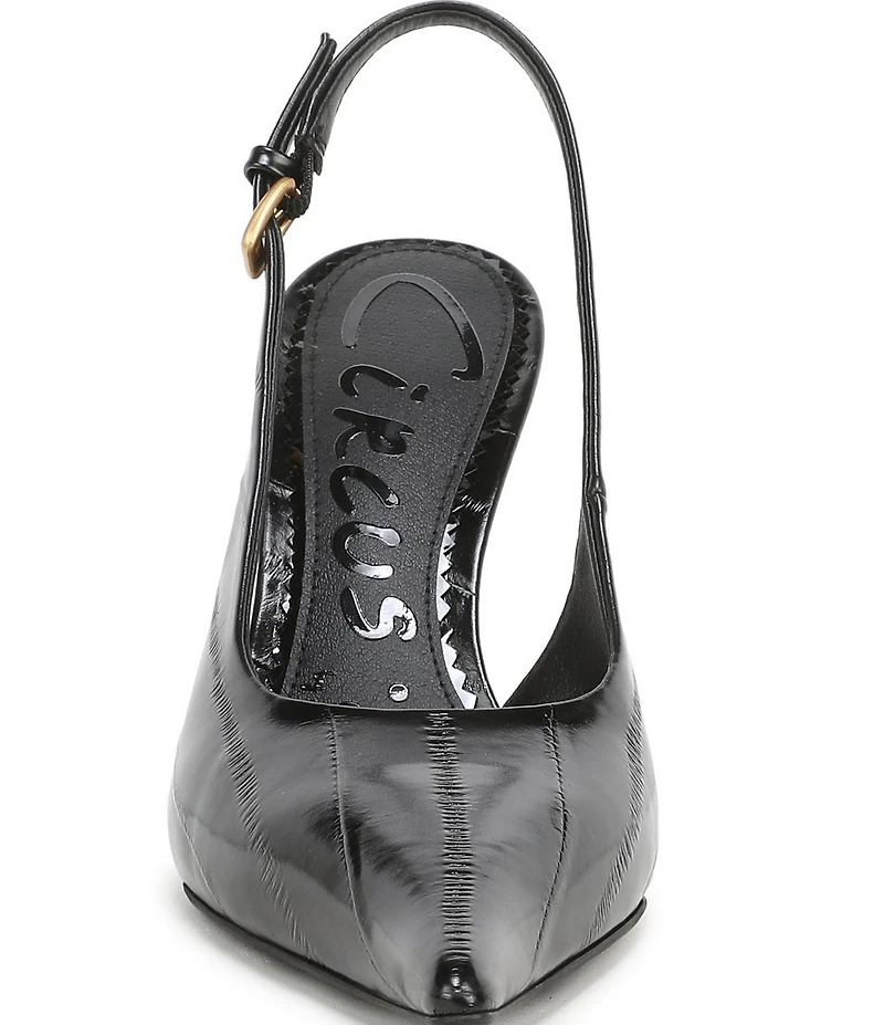 Circus NY by Sam Edelman Oaklee Point Toe Slingback Dress Pumps