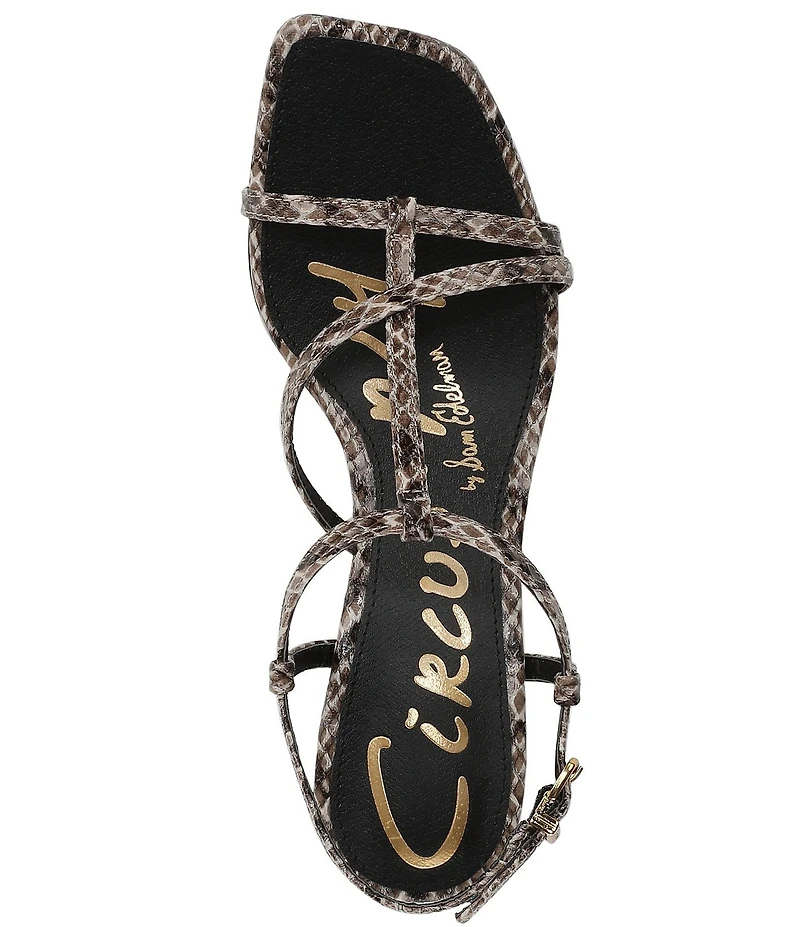 Circus NY by Sam Edelman Jaida Snake Print Ankle Strap Dress Sandals
