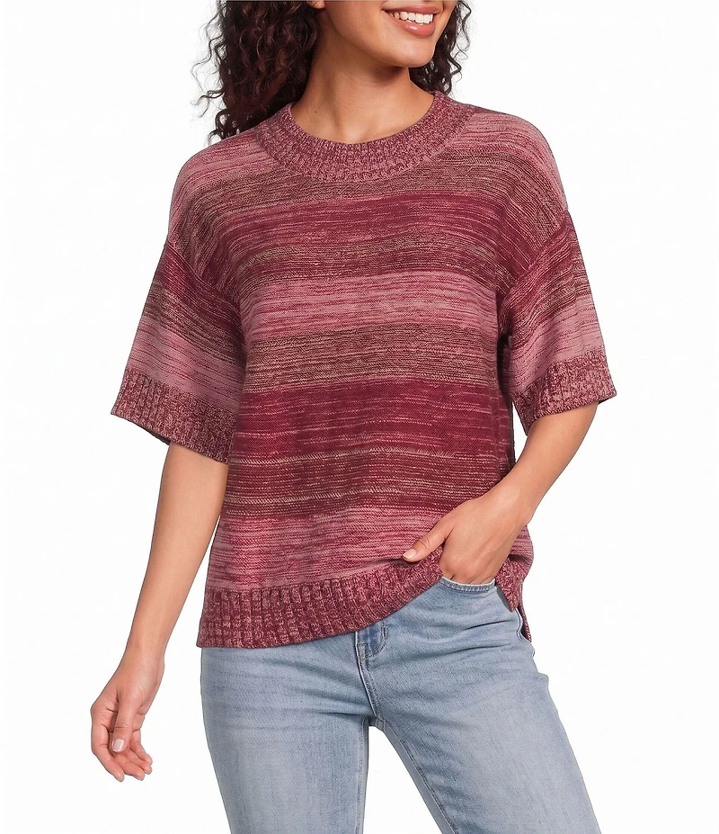 City Blues Petite Size Broome Melange Stripe Crew Neck Short Sleeve Sweater