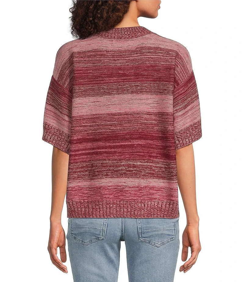 City Blues Petite Size Broome Melange Stripe Crew Neck Short Sleeve Sweater