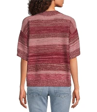 City Blues Petite Size Broome Melange Stripe Crew Neck Short Sleeve Sweater