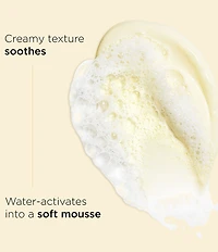 Clarins Hydrating Gentle Foaming Face Cleanser with Aloe Vera