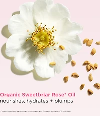Clarins Hydrating Peptide & Plumping Lip Oil Balm