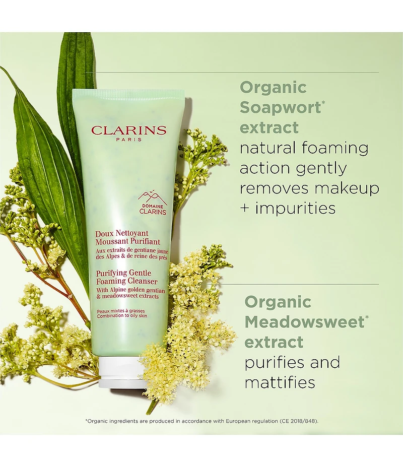 Clarins Purifying Cleansing Duo Skincare Set