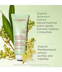 Clarins Purifying Gentle Foaming Face Cleanser