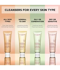 Clarins Purifying Gentle Foaming Face Cleanser