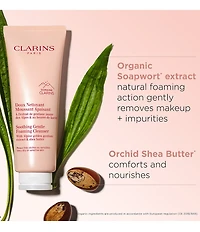 Clarins Soothing Gentle Foaming Face Cleanser with Shea Butter