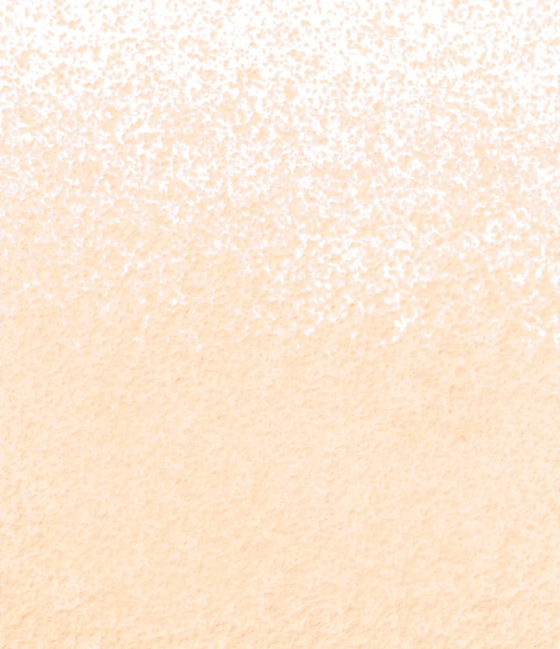 Clinique Blended Face Powder