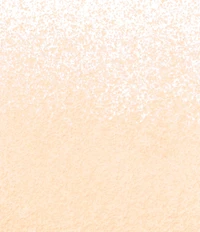 Clinique Blended Face Powder