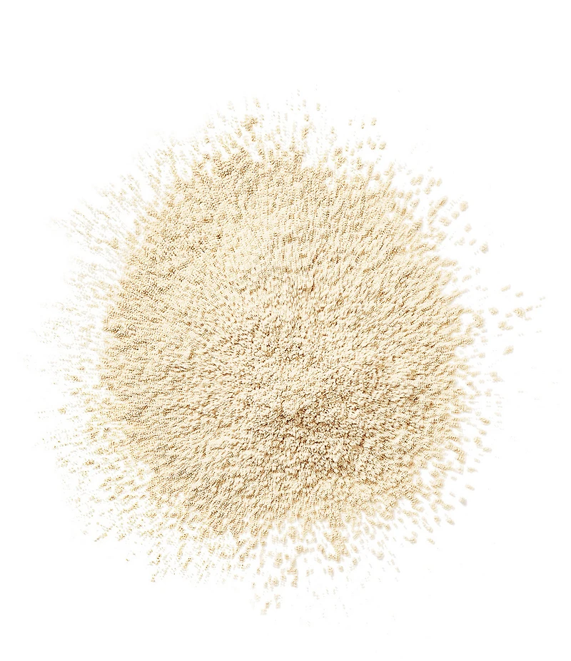 Clinique Blended Face Powder