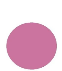 Clinique Cheek Pop™ Blush