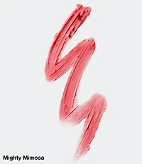 Clinique Chubby Stick™ Moisturizing Lip Color Tinted Lip Balm