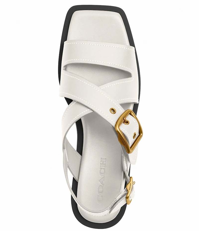 COACH Archival Buckle Leather Flat Sandals