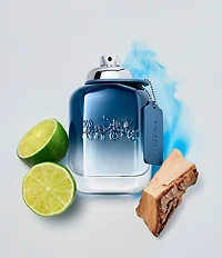 COACH Blue Eau de Toilette