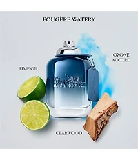 COACH Blue Eau de Toilette 3-Piece Gift Set