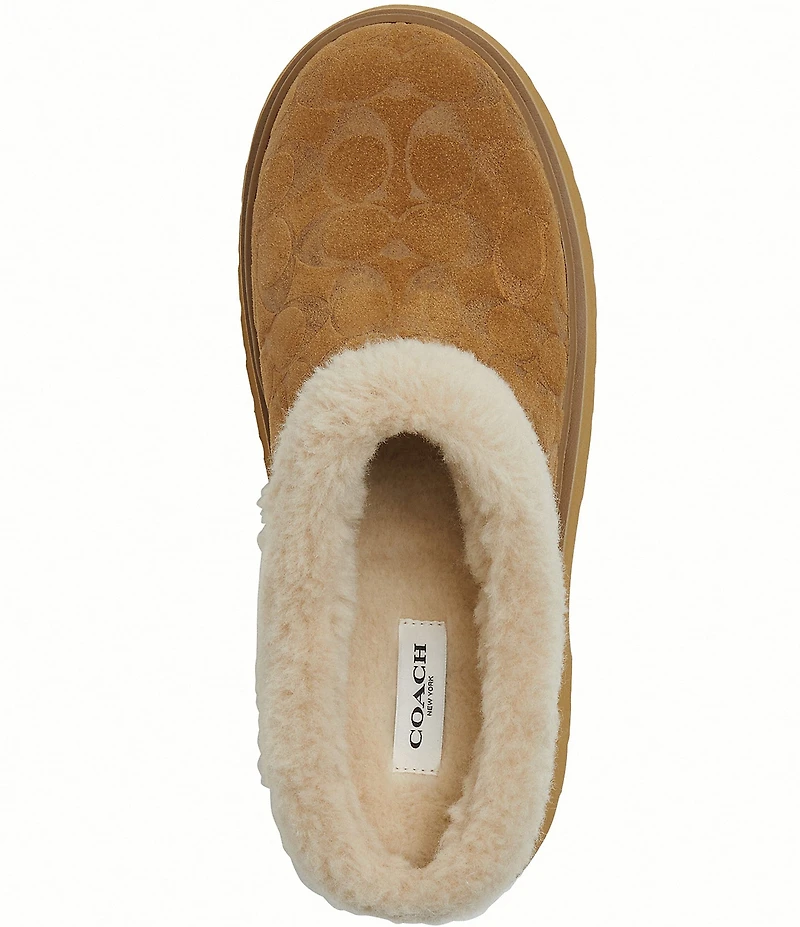 COACH Cecelia Signature Suede and Wool Platform Clogs
