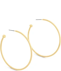 COACH Classic Hoop Earrings