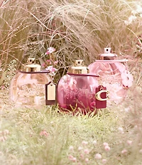 COACH Eau de Parfum