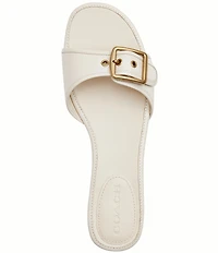 COACH Margot Leather Buckled Flat Slide Sandals