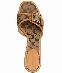 COACH Margot Signature Jacquard Leather Slip On Kitten Heel Sandals